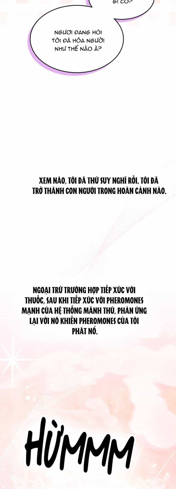 Mối Liên Kết Giữa Báo Đen Và Bé Thỏ - Chương 85 - ảnh 25
