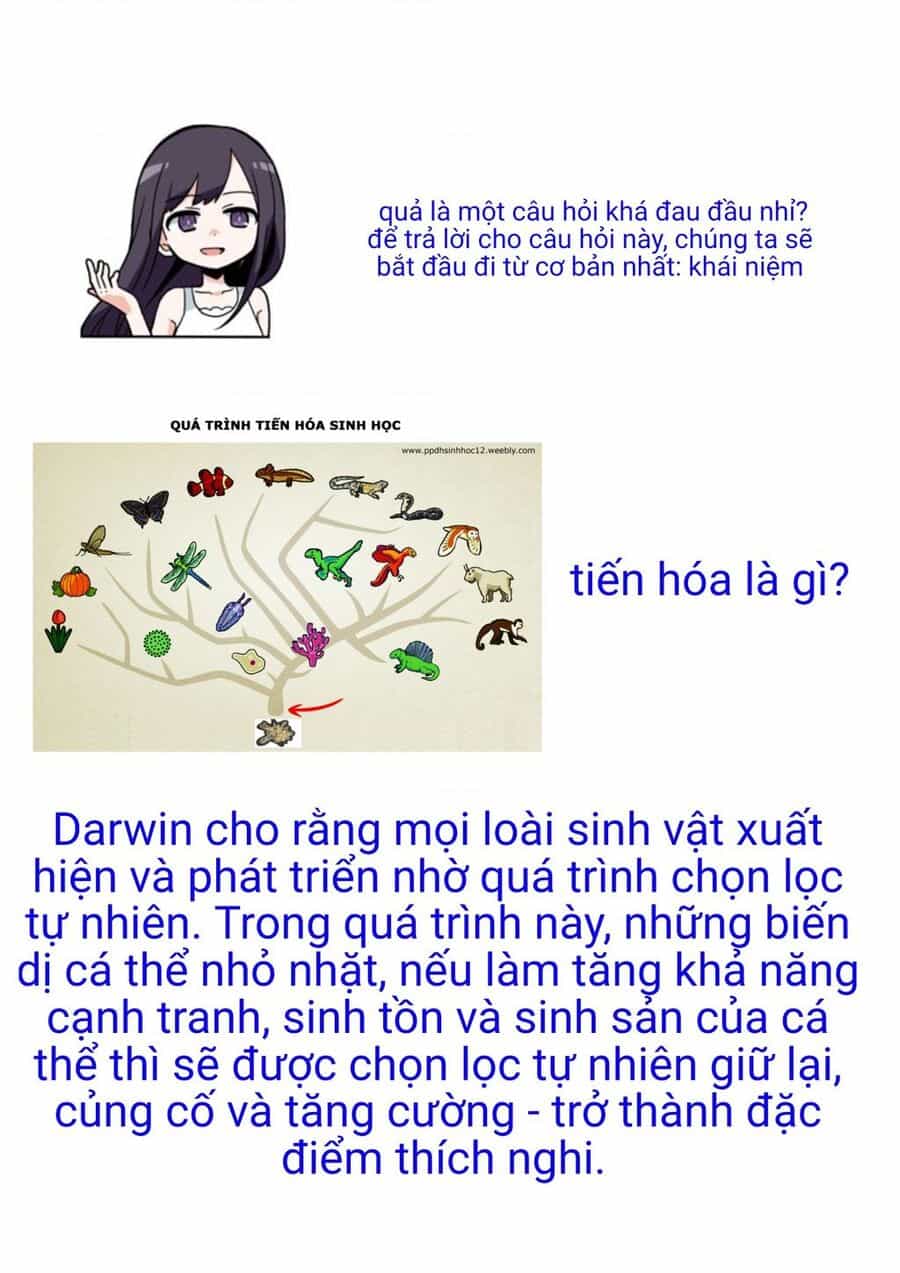 Mọi Người Đều Đến Từ Thế Giới Khác, Ngoại Trừ Tôi!? - Chuong 7.5 - ảnh 5