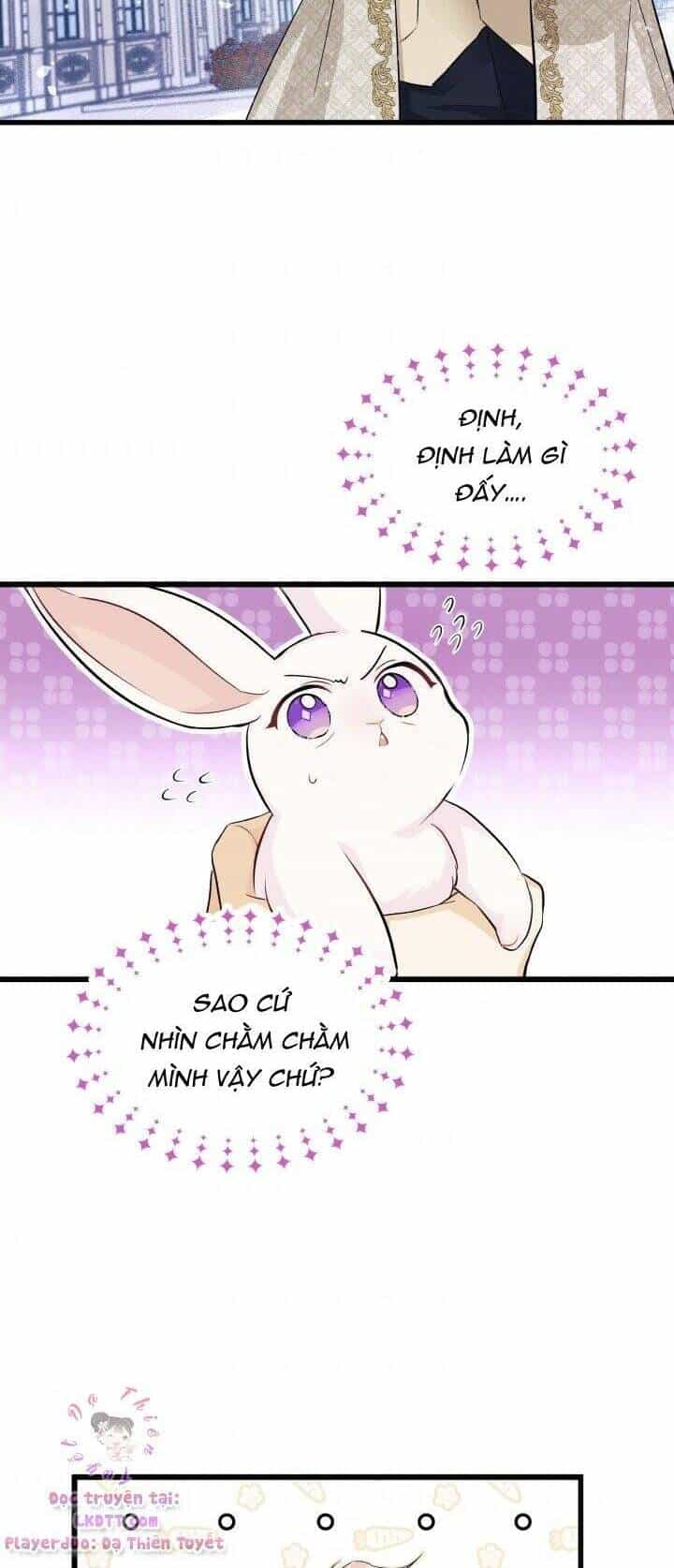 Mối Quan Hệ Cộng Sinh Giữa Báo Đen Và Thỏ Trắng - Chương 9 - ảnh 6