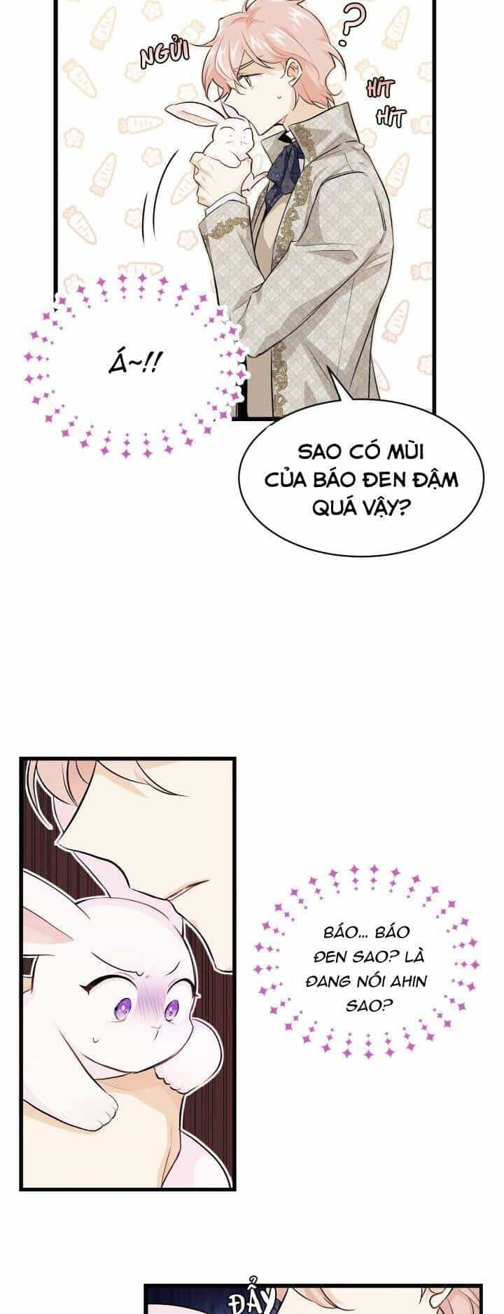 Mối Quan Hệ Cộng Sinh Giữa Báo Đen Và Thỏ Trắng - Chương 9 - ảnh 7