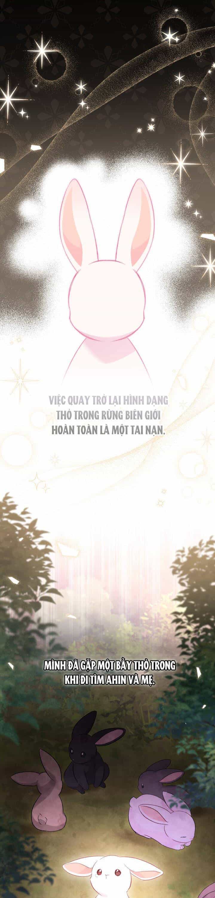 Mối Quan Hệ Cộng Sinh Giữa Báo Đen Và Thỏ Trắng - Chương 82 - ảnh 3