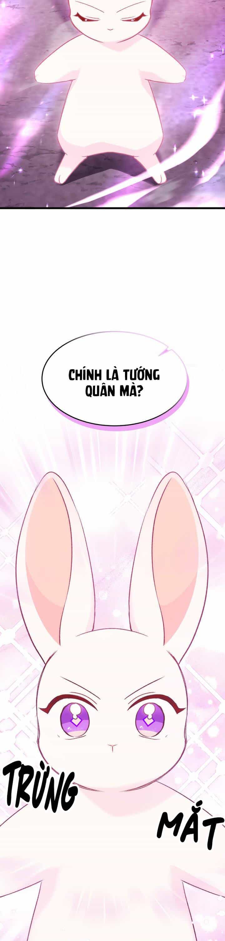 Mối Quan Hệ Cộng Sinh Giữa Báo Đen Và Thỏ Trắng - Chương 82 - ảnh 34