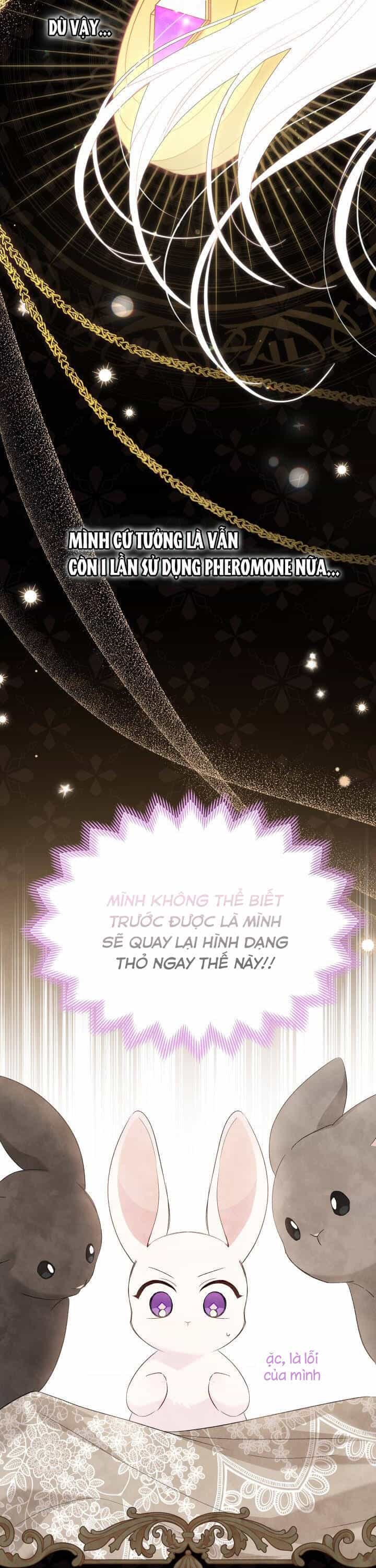 Mối Quan Hệ Cộng Sinh Giữa Báo Đen Và Thỏ Trắng - Chương 82 - ảnh 6