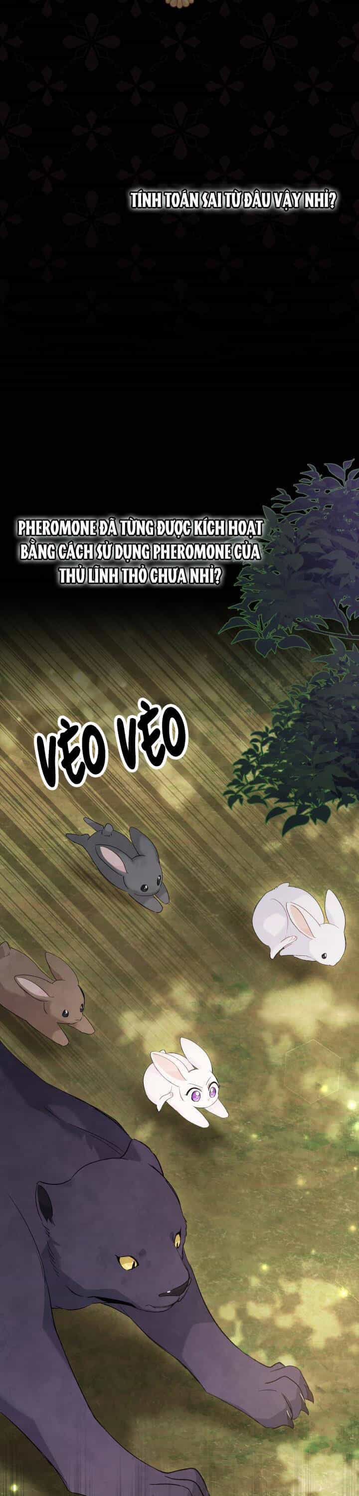 Mối Quan Hệ Cộng Sinh Giữa Báo Đen Và Thỏ Trắng - Chương 82 - ảnh 7