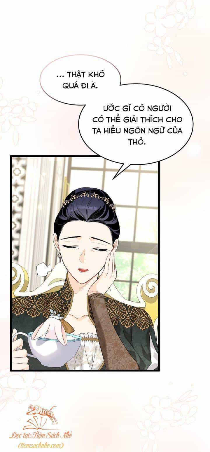Mối Quan Hệ Cộng Sinh Giữa Báo Đen Và Thỏ Trắng - Chương 84 - ảnh 13