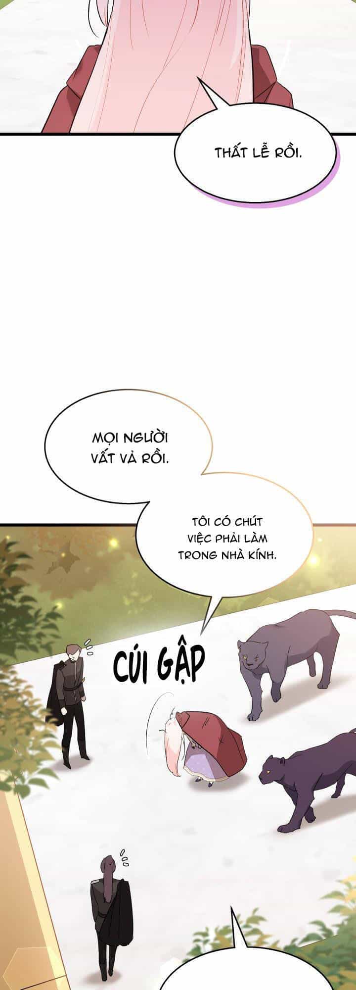 Mối Quan Hệ Cộng Sinh Giữa Báo Đen Và Thỏ Trắng - Chương 85 - ảnh 43