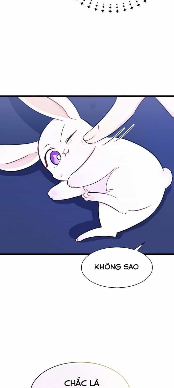 Mối Quan Hệ Cộng Sinh Giữa Báo Đen Và Thỏ Trắng - Chương 10 - ảnh 17