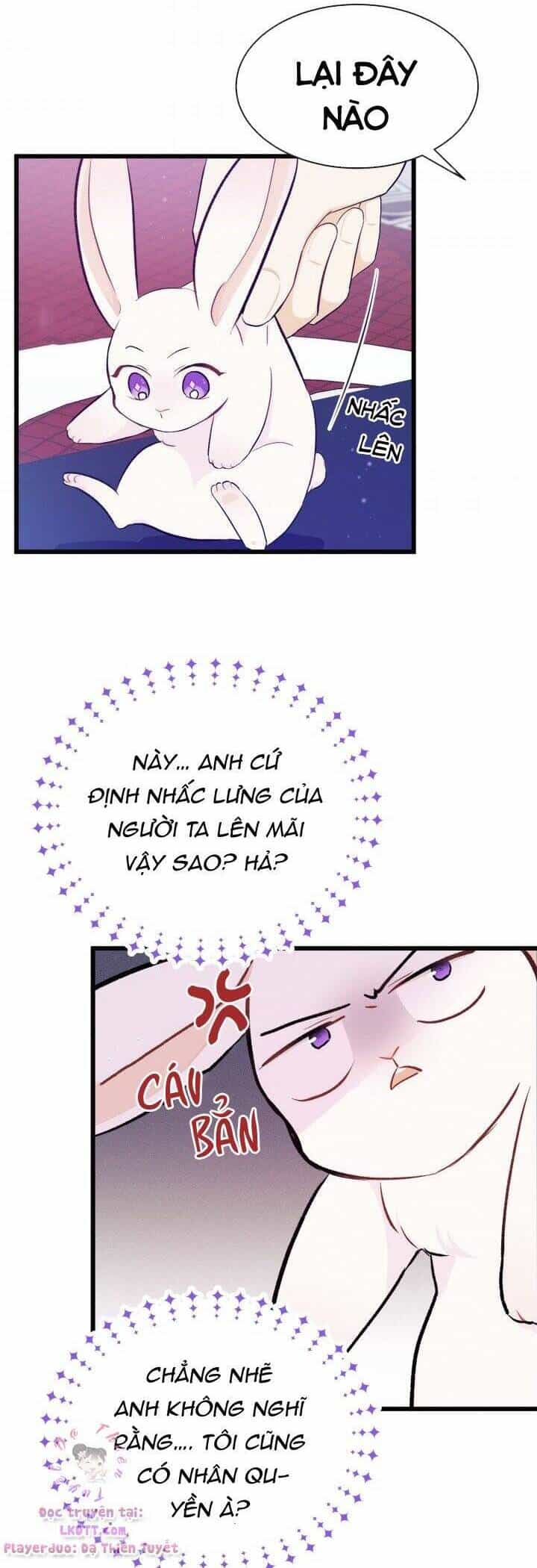 Mối Quan Hệ Cộng Sinh Giữa Báo Đen Và Thỏ Trắng - Chương 10 - ảnh 24