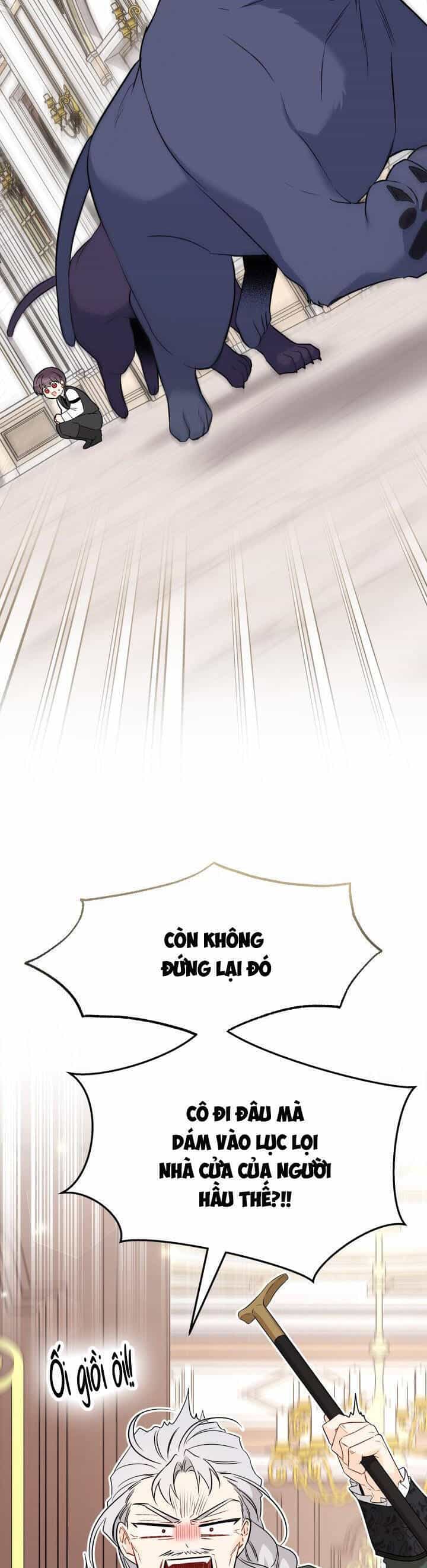 Mối Quan Hệ Cộng Sinh Giữa Báo Đen Và Thỏ Trắng - Chương 95 - ảnh 46