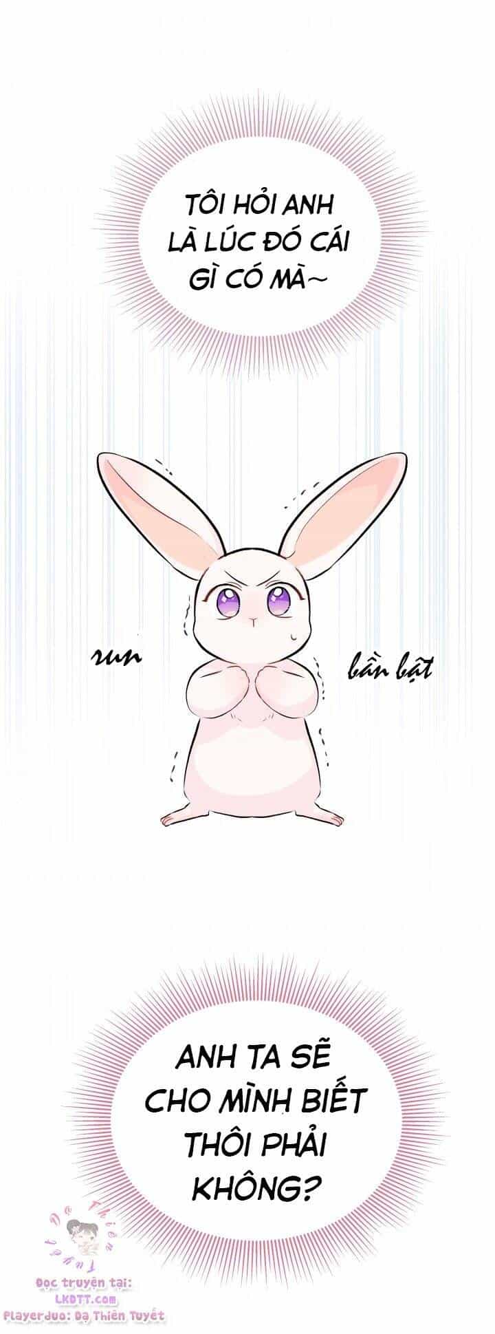 Mối Quan Hệ Cộng Sinh Giữa Báo Đen Và Thỏ Trắng - Chương 11 - ảnh 43