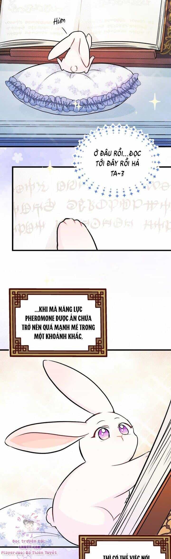 Mối Quan Hệ Cộng Sinh Giữa Báo Đen Và Thỏ Trắng - Chương 13 - ảnh 27