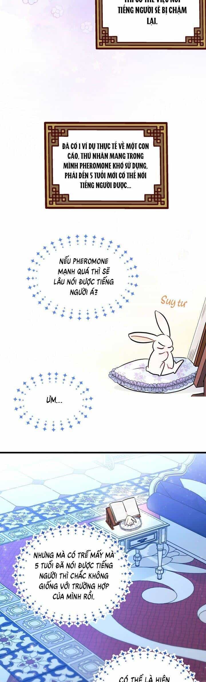 Mối Quan Hệ Cộng Sinh Giữa Báo Đen Và Thỏ Trắng - Chương 13 - ảnh 28