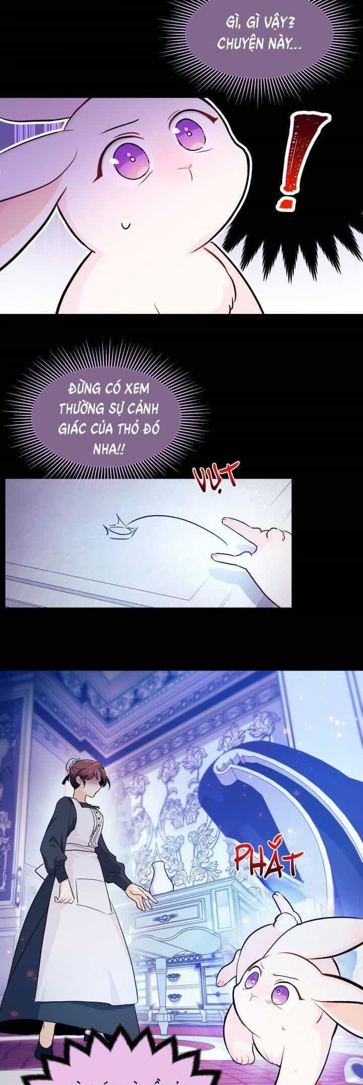 Mối Quan Hệ Cộng Sinh Giữa Báo Đen Và Thỏ Trắng - Chương 13 - ảnh 32