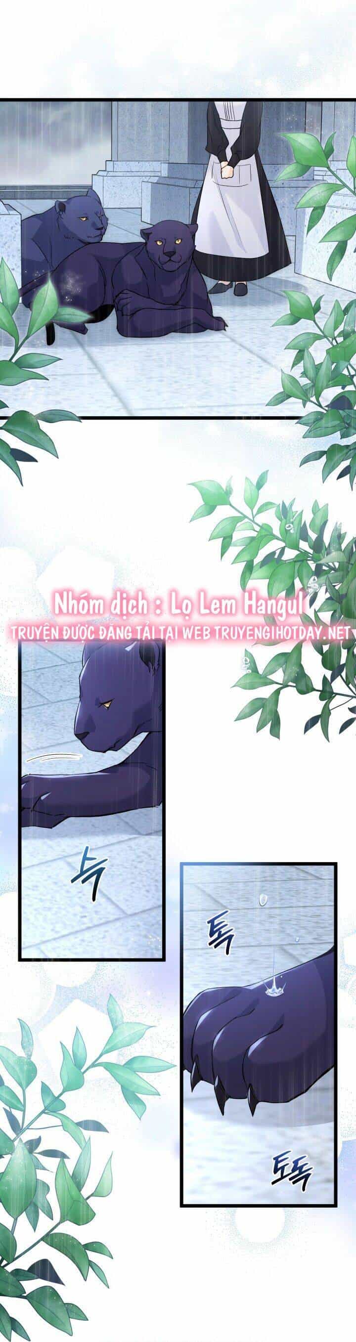 Mối Quan Hệ Cộng Sinh Giữa Báo Đen Và Thỏ Trắng - Chương 121 - ảnh 20