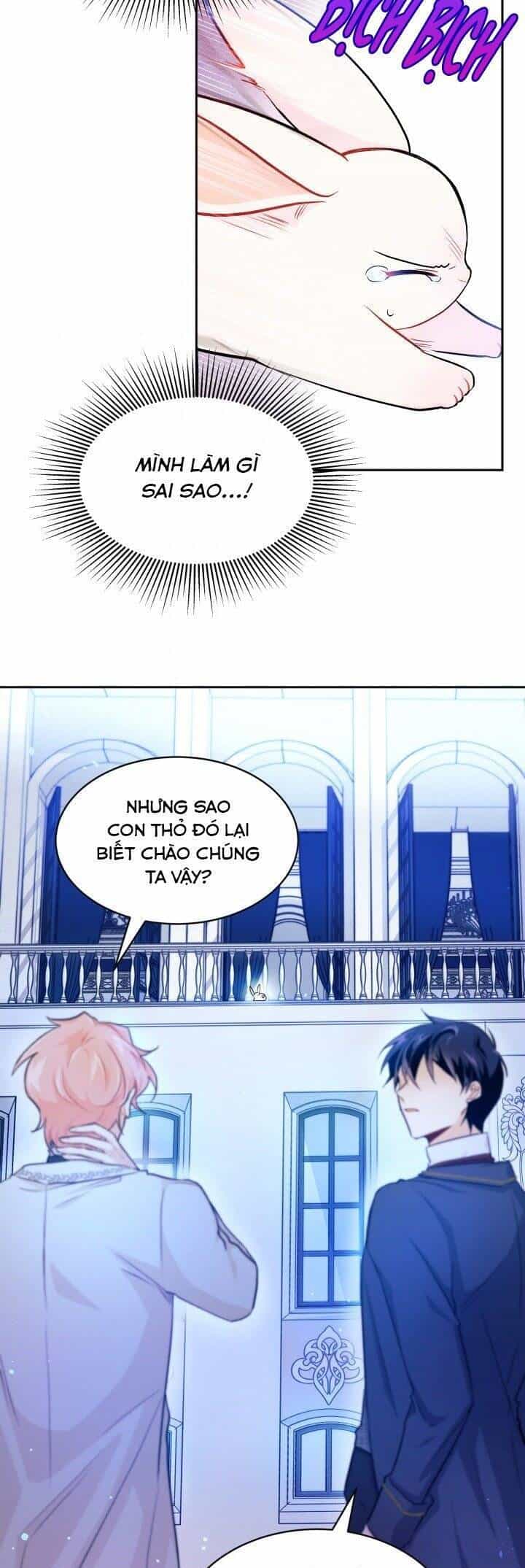 Mối Quan Hệ Cộng Sinh Giữa Báo Đen Và Thỏ Trắng - Chương 14 - ảnh 30