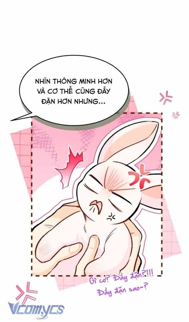 Mối Quan Hệ Cộng Sinh Giữa Báo Đen Và Thỏ Trắng - Chương 128 - ảnh 15