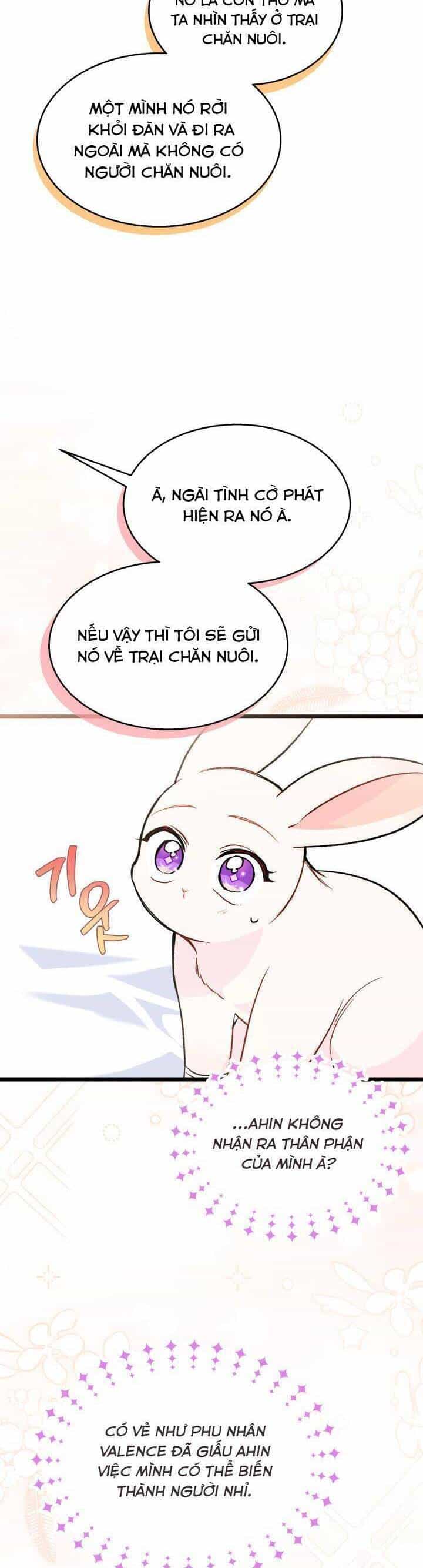 Mối Quan Hệ Cộng Sinh Giữa Báo Đen Và Thỏ Trắng - Chương 128.2 - ảnh 3