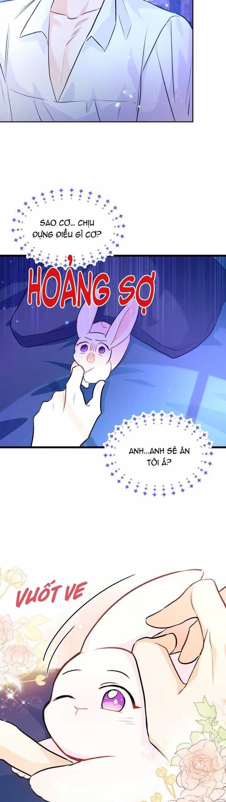Mối Quan Hệ Cộng Sinh Giữa Báo Đen Và Thỏ Trắng - Chương 15 - ảnh 41