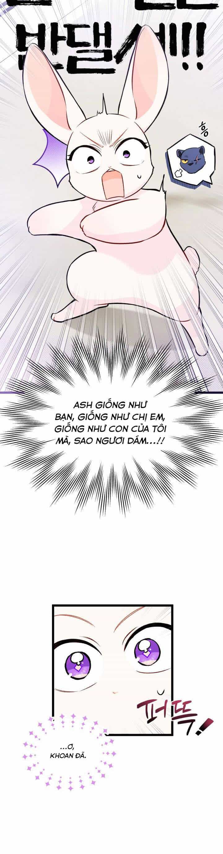 Mối Quan Hệ Cộng Sinh Giữa Báo Đen Và Thỏ Trắng - Chương 134 - ảnh 20