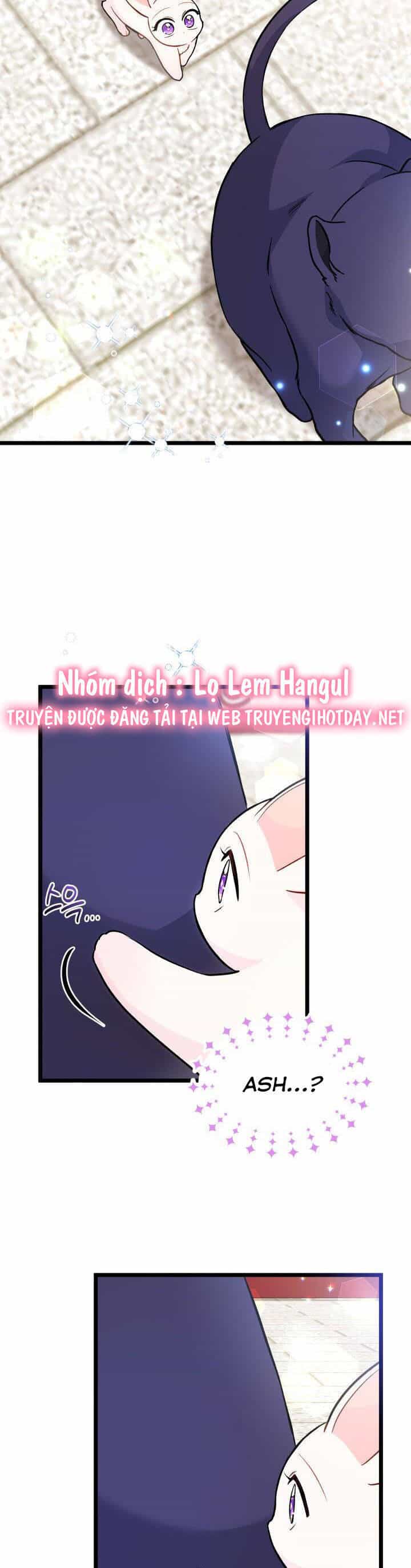 Mối Quan Hệ Cộng Sinh Giữa Báo Đen Và Thỏ Trắng - Chương 134 - ảnh 33