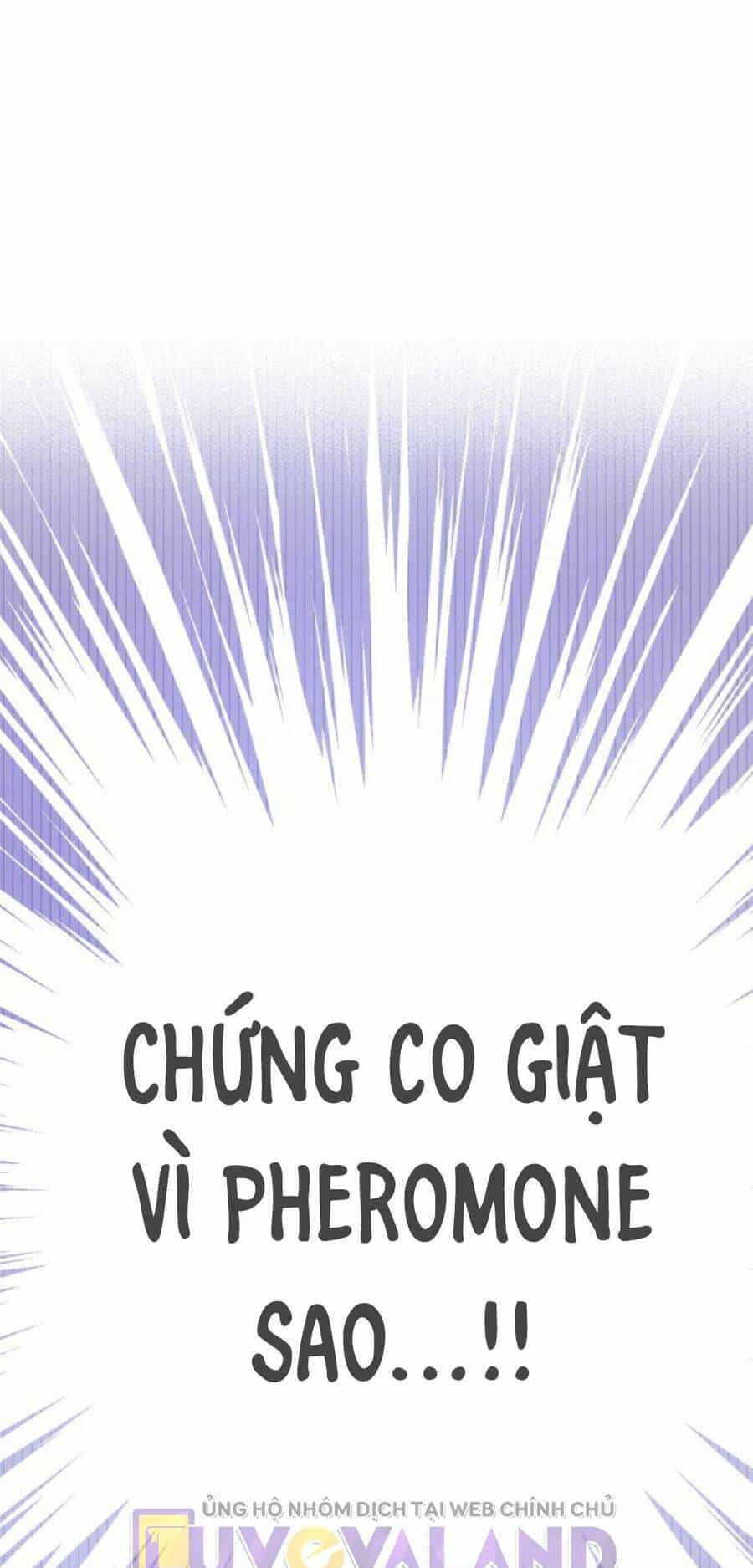 Mối Quan Hệ Cộng Sinh Giữa Báo Đen Và Thỏ Trắng - Chương 141 - ảnh 10
