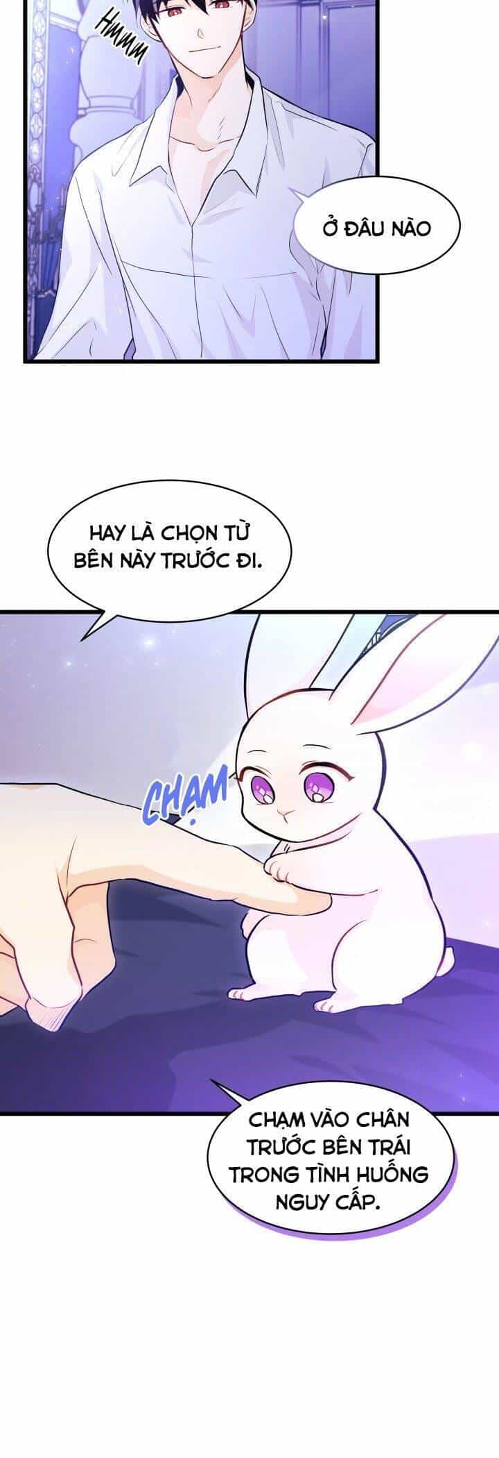 Mối Quan Hệ Cộng Sinh Giữa Báo Đen Và Thỏ Trắng - Chương 16 - ảnh 9