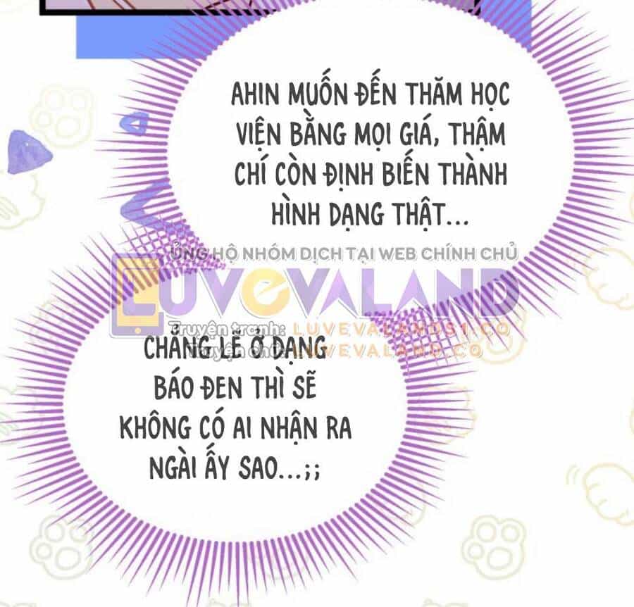 Mối Quan Hệ Cộng Sinh Giữa Báo Đen Và Thỏ Trắng - Chương 145 - ảnh 16