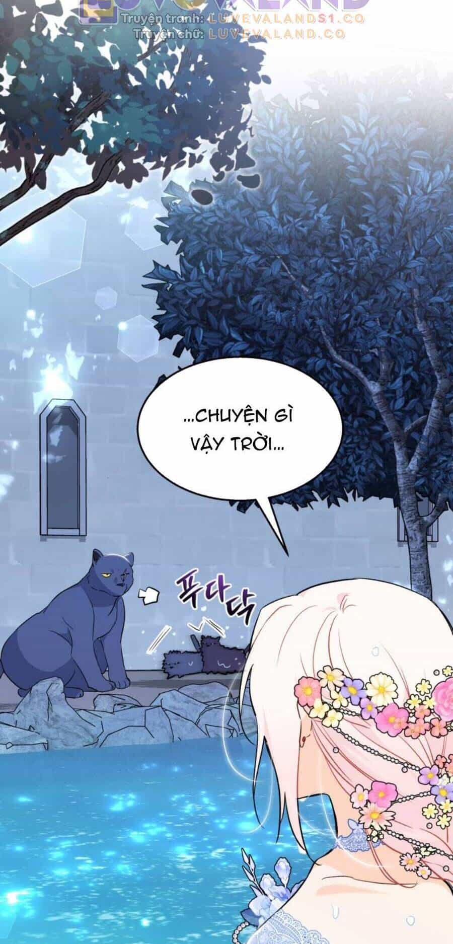 Mối Quan Hệ Cộng Sinh Giữa Báo Đen Và Thỏ Trắng - Chương 148 - ảnh 68
