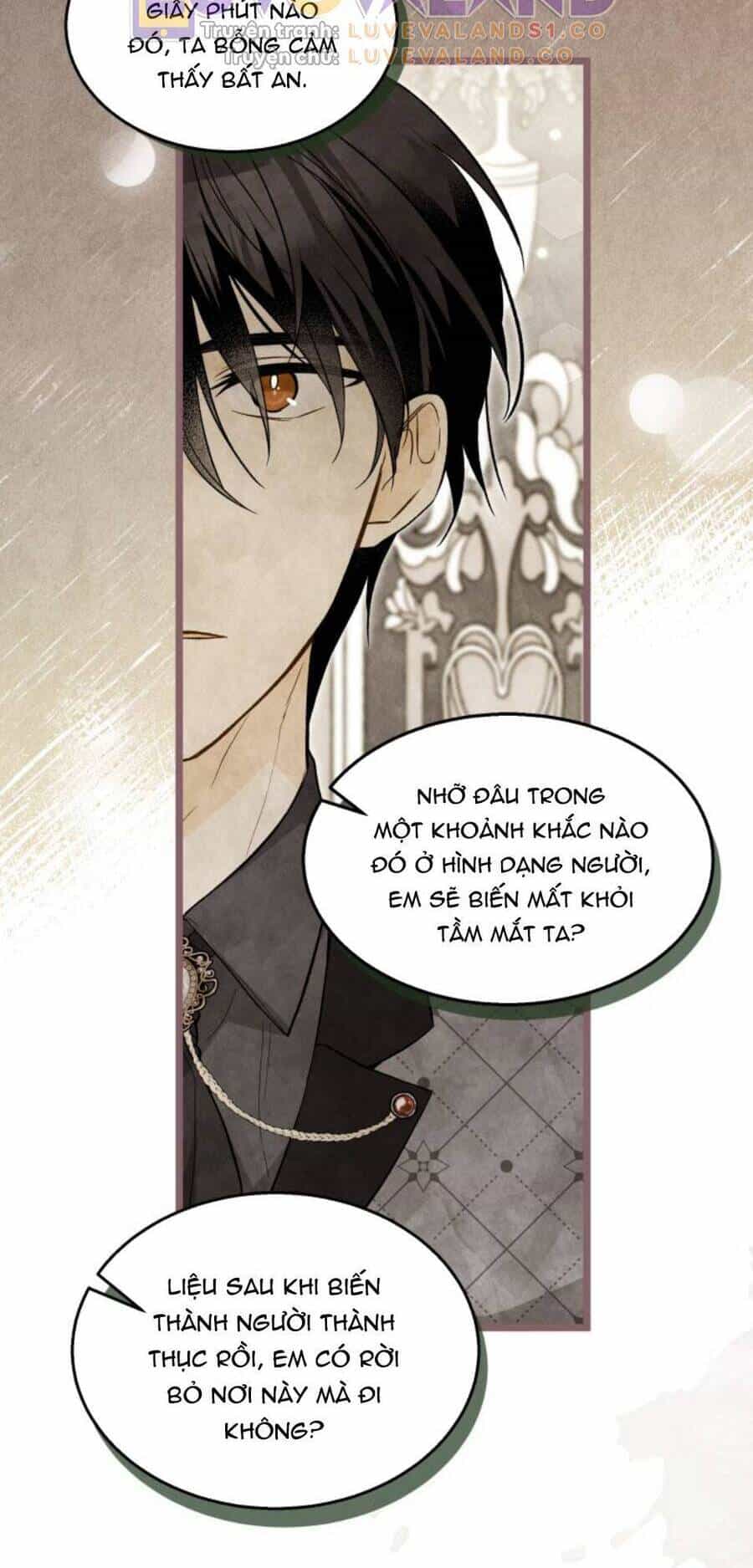 Mối Quan Hệ Cộng Sinh Giữa Báo Đen Và Thỏ Trắng - Chương 150 - ảnh 13
