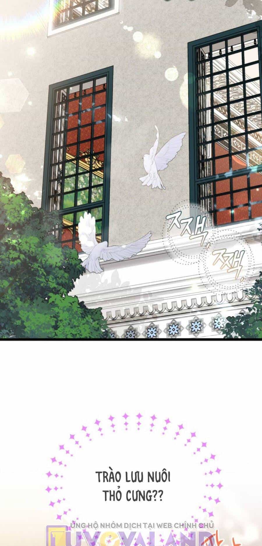 Mối Quan Hệ Cộng Sinh Giữa Báo Đen Và Thỏ Trắng - Chương 150 - ảnh 36