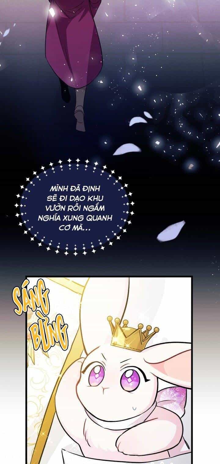 Mối Quan Hệ Cộng Sinh Giữa Báo Đen Và Thỏ Trắng - Chương 17 - ảnh 37