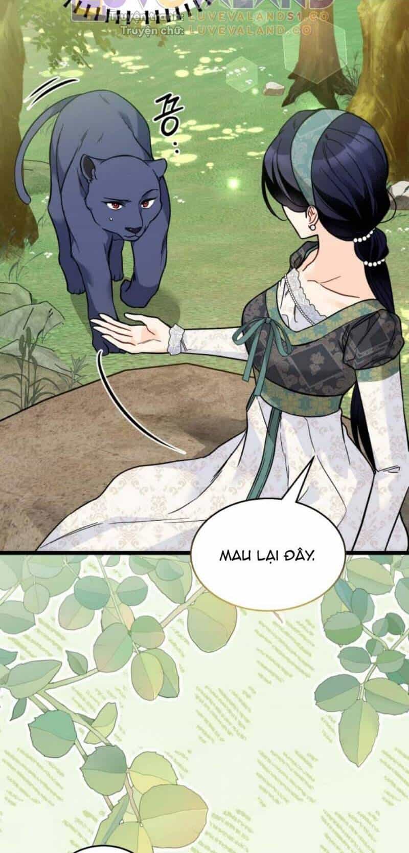 Mối Quan Hệ Cộng Sinh Giữa Báo Đen Và Thỏ Trắng - Chương 153 - ảnh 22