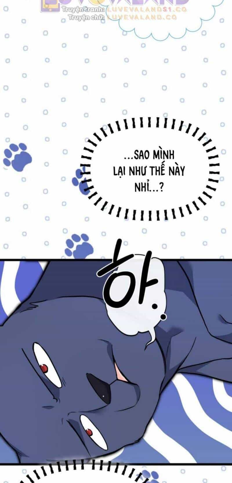 Mối Quan Hệ Cộng Sinh Giữa Báo Đen Và Thỏ Trắng - Chương 153 - ảnh 26