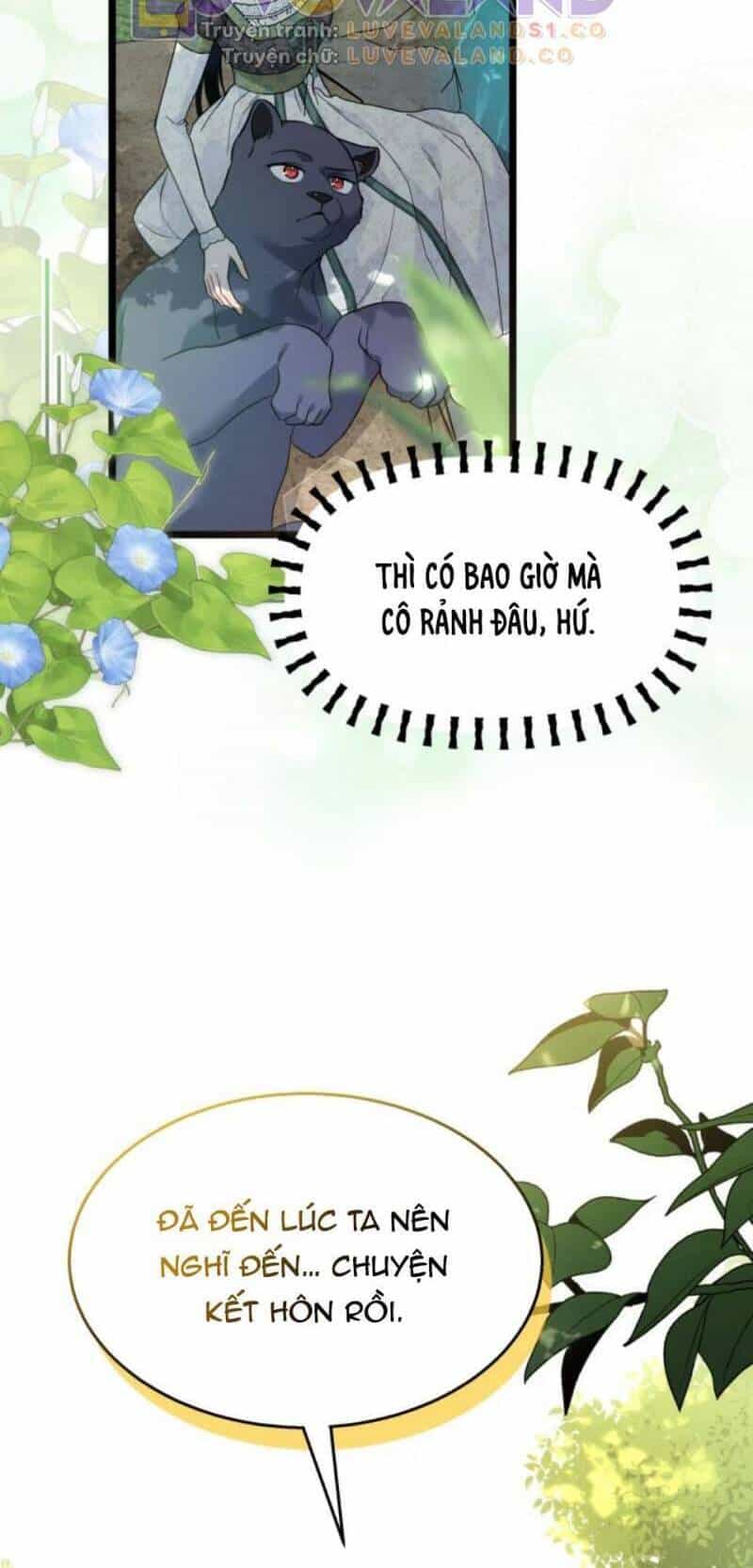 Mối Quan Hệ Cộng Sinh Giữa Báo Đen Và Thỏ Trắng - Chương 153 - ảnh 28