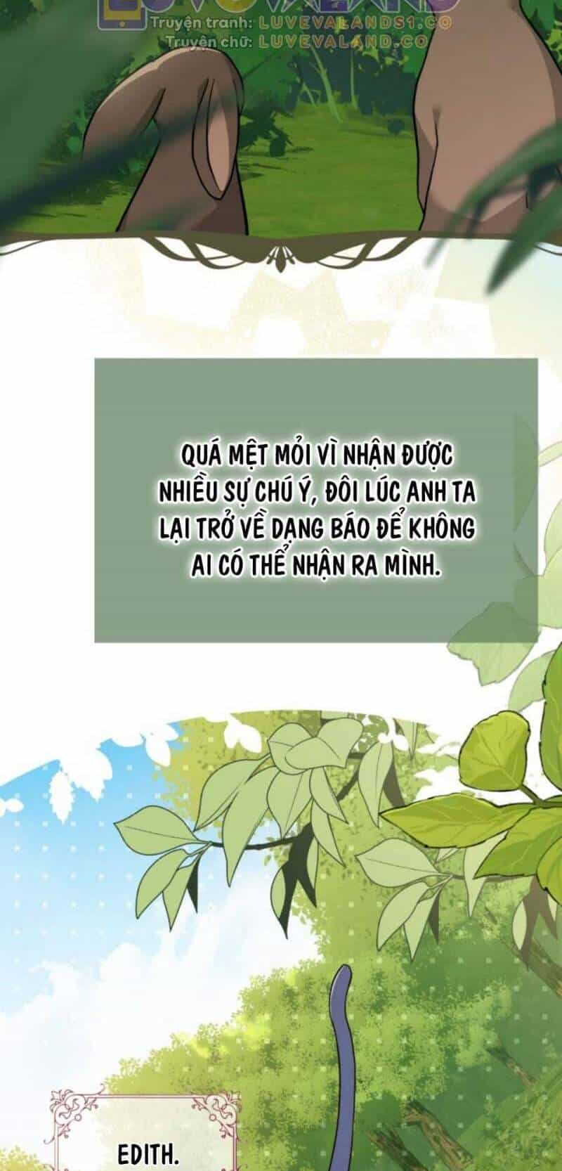Mối Quan Hệ Cộng Sinh Giữa Báo Đen Và Thỏ Trắng - Chương 153 - ảnh 5