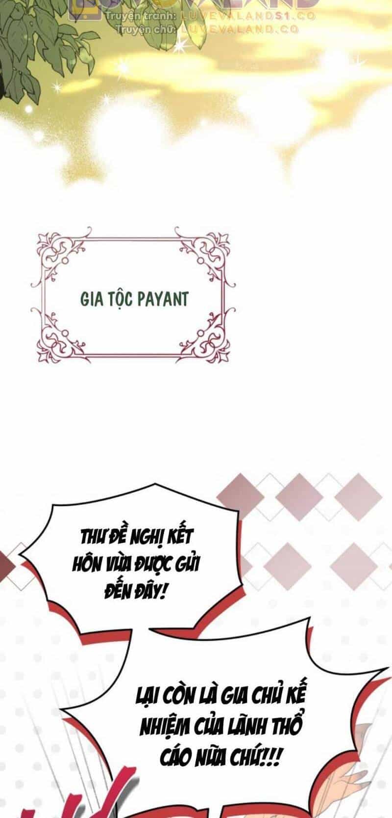 Mối Quan Hệ Cộng Sinh Giữa Báo Đen Và Thỏ Trắng - Chương 153 - ảnh 9