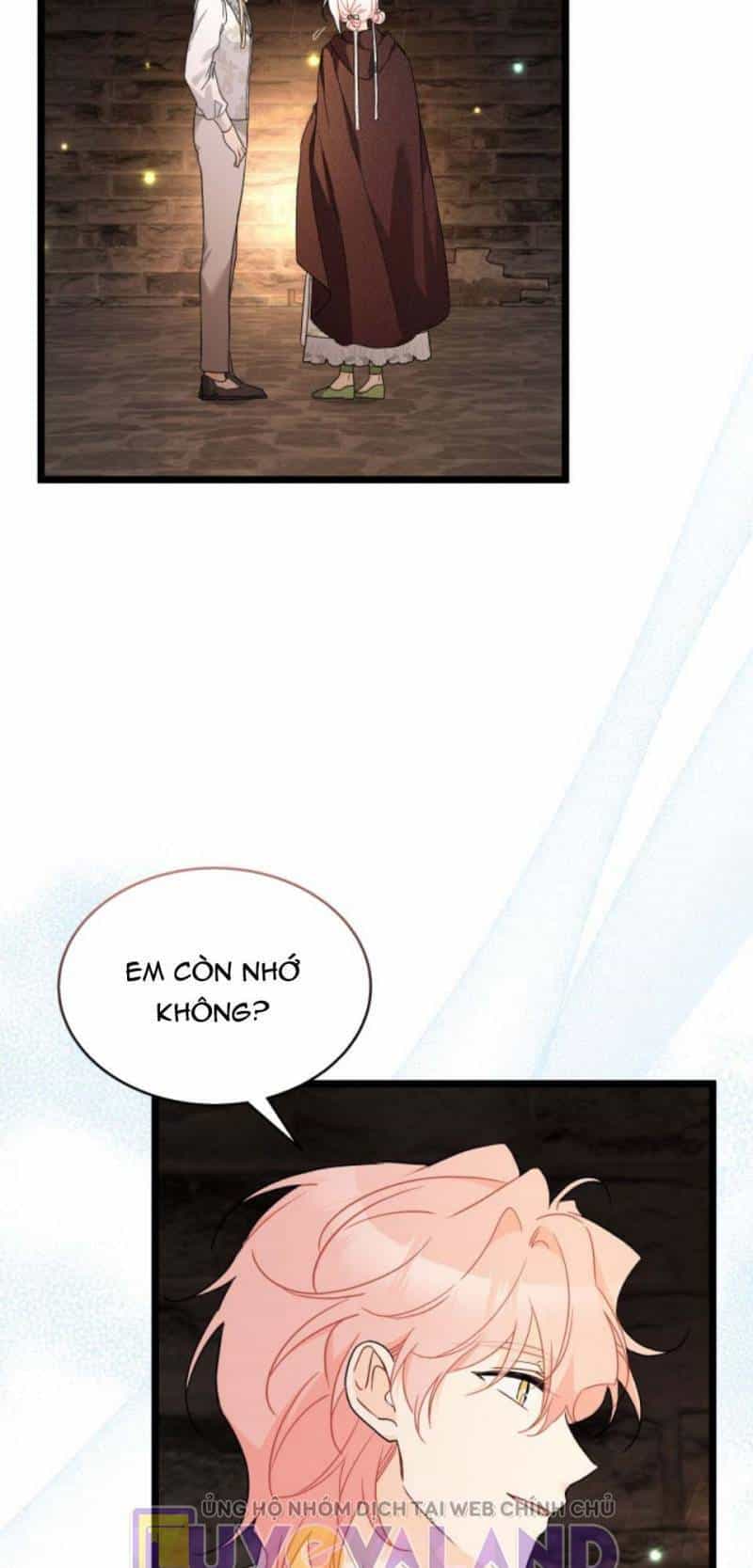 Mối Quan Hệ Cộng Sinh Giữa Báo Đen Và Thỏ Trắng - Chương 157 - ảnh 23