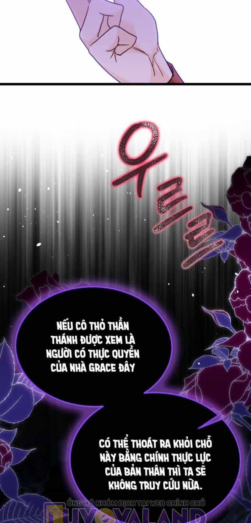 Mối Quan Hệ Cộng Sinh Giữa Báo Đen Và Thỏ Trắng - Chương 157 - ảnh 61