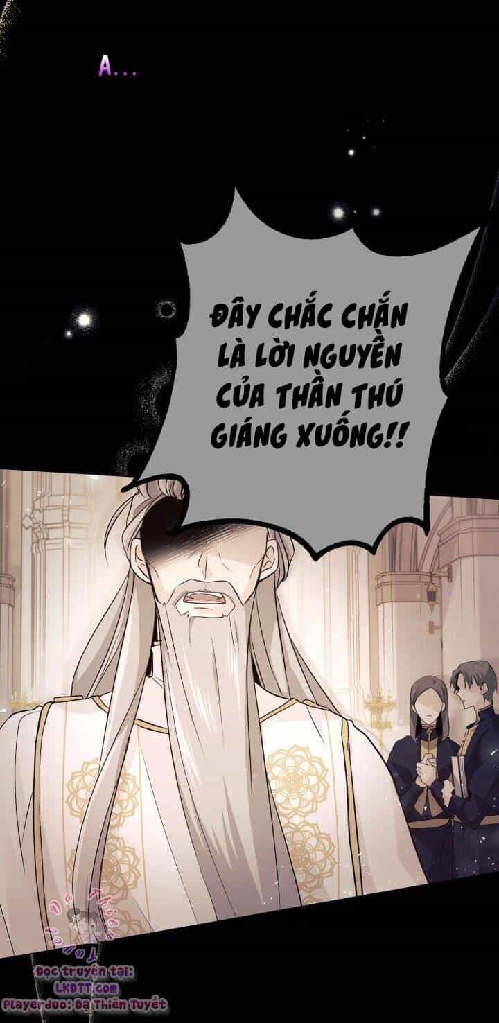 Mối Quan Hệ Cộng Sinh Giữa Báo Đen Và Thỏ Trắng - Chương 1 - ảnh 13