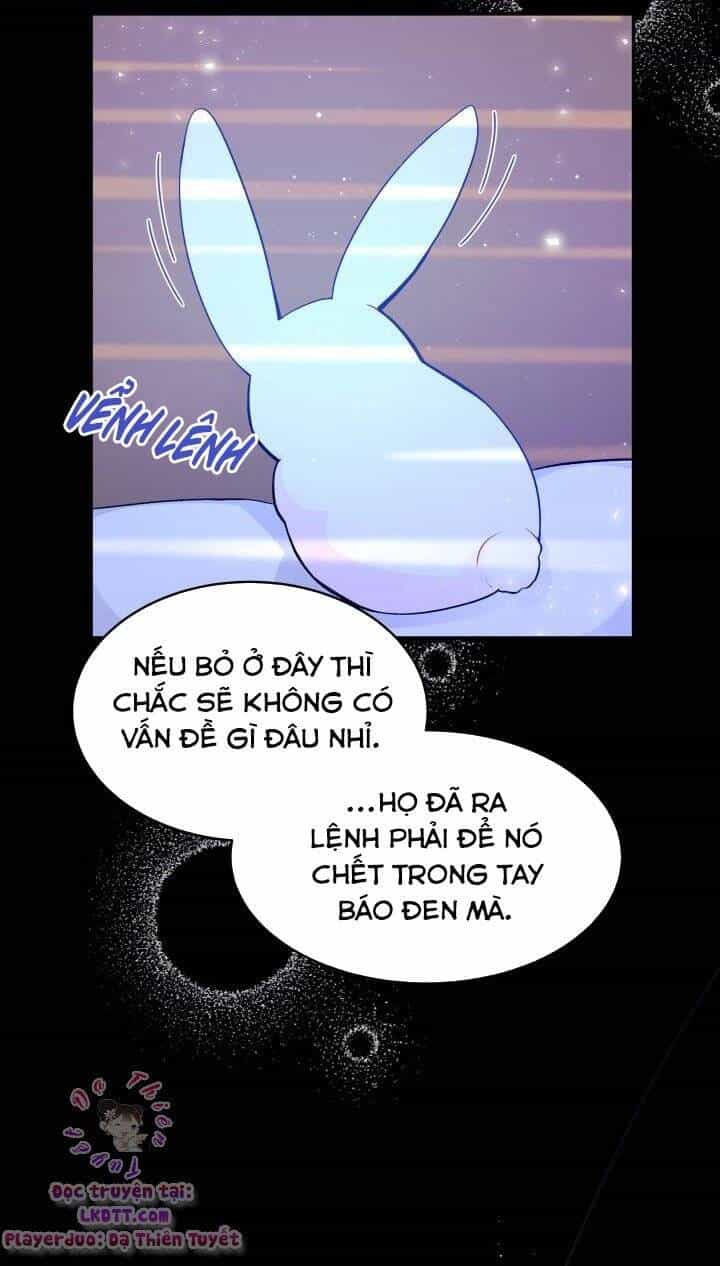 Mối Quan Hệ Cộng Sinh Giữa Báo Đen Và Thỏ Trắng - Chương 1 - ảnh 18