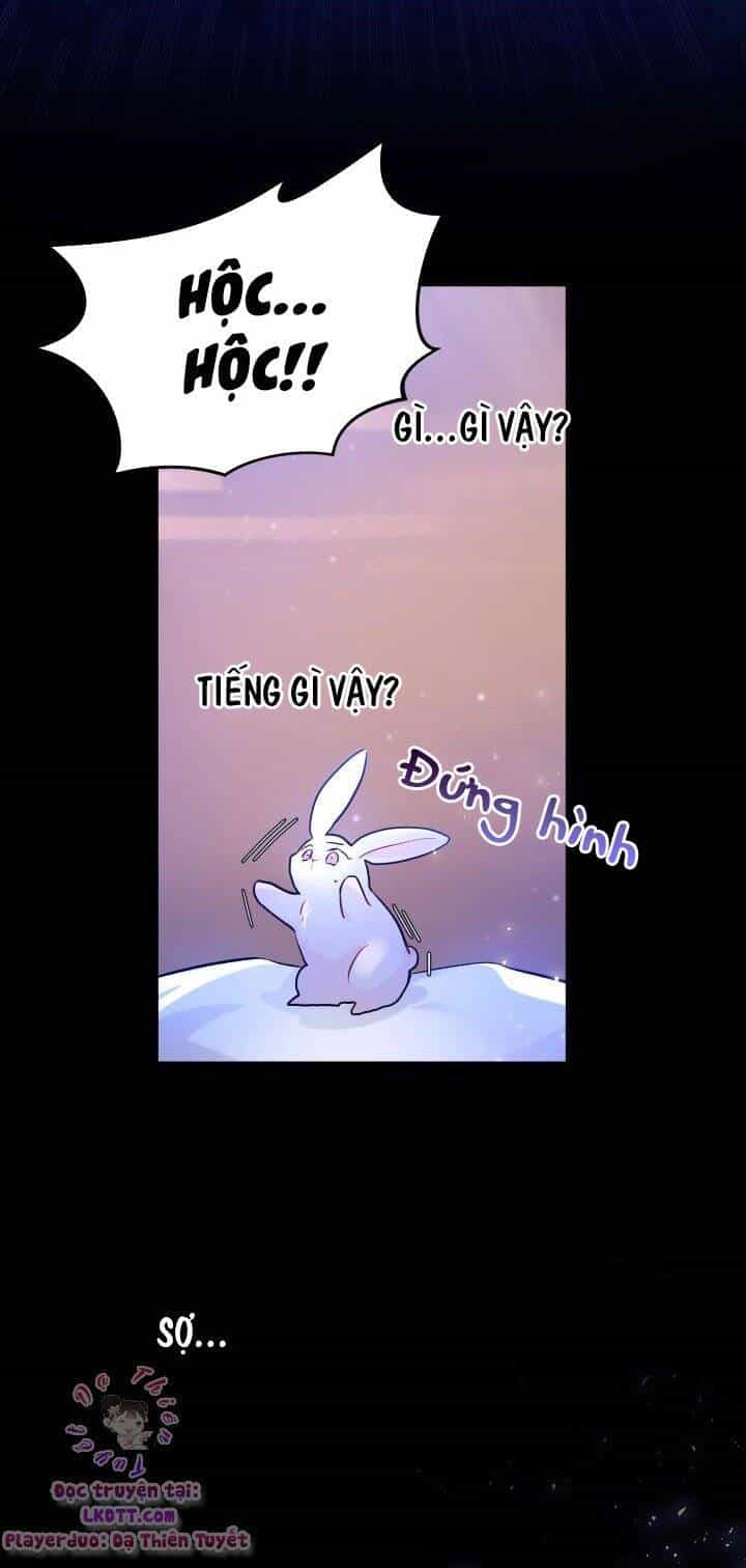 Mối Quan Hệ Cộng Sinh Giữa Báo Đen Và Thỏ Trắng - Chương 1 - ảnh 26
