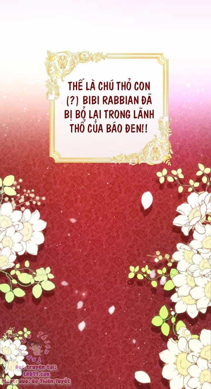 Mối Quan Hệ Cộng Sinh Giữa Báo Đen Và Thỏ Trắng - Chương 1 - ảnh 46