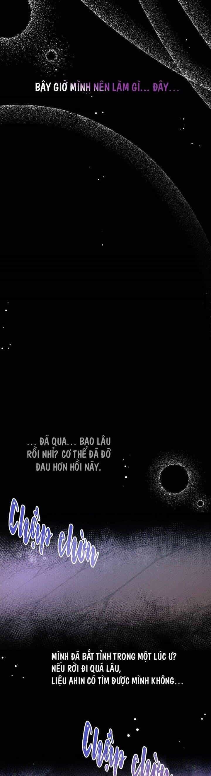 Mối Quan Hệ Cộng Sinh Giữa Báo Đen Và Thỏ Trắng - Chương 19 - ảnh 12