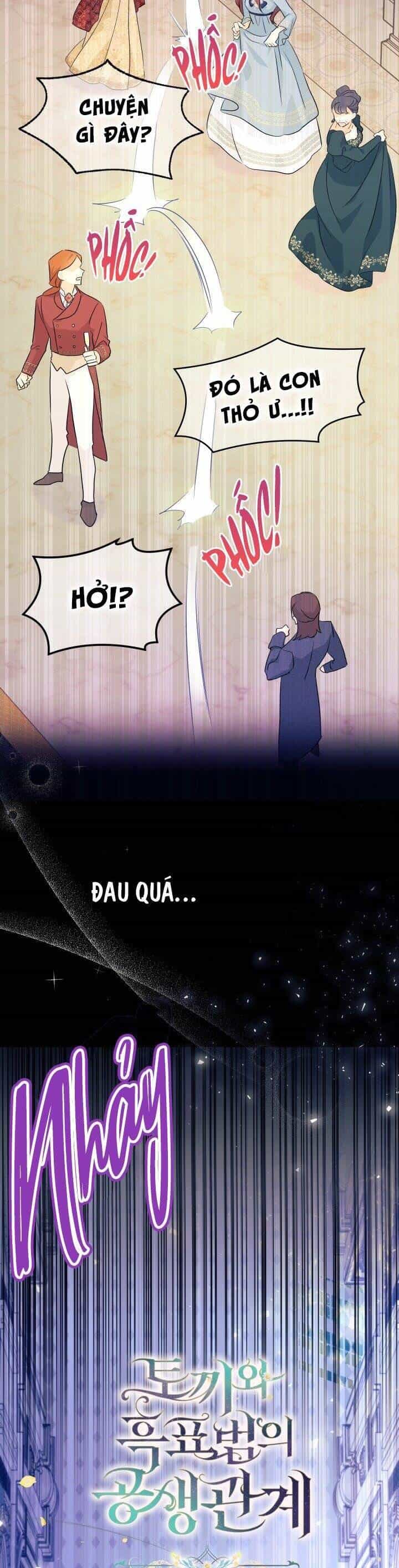 Mối Quan Hệ Cộng Sinh Giữa Báo Đen Và Thỏ Trắng - Chương 19 - ảnh 5