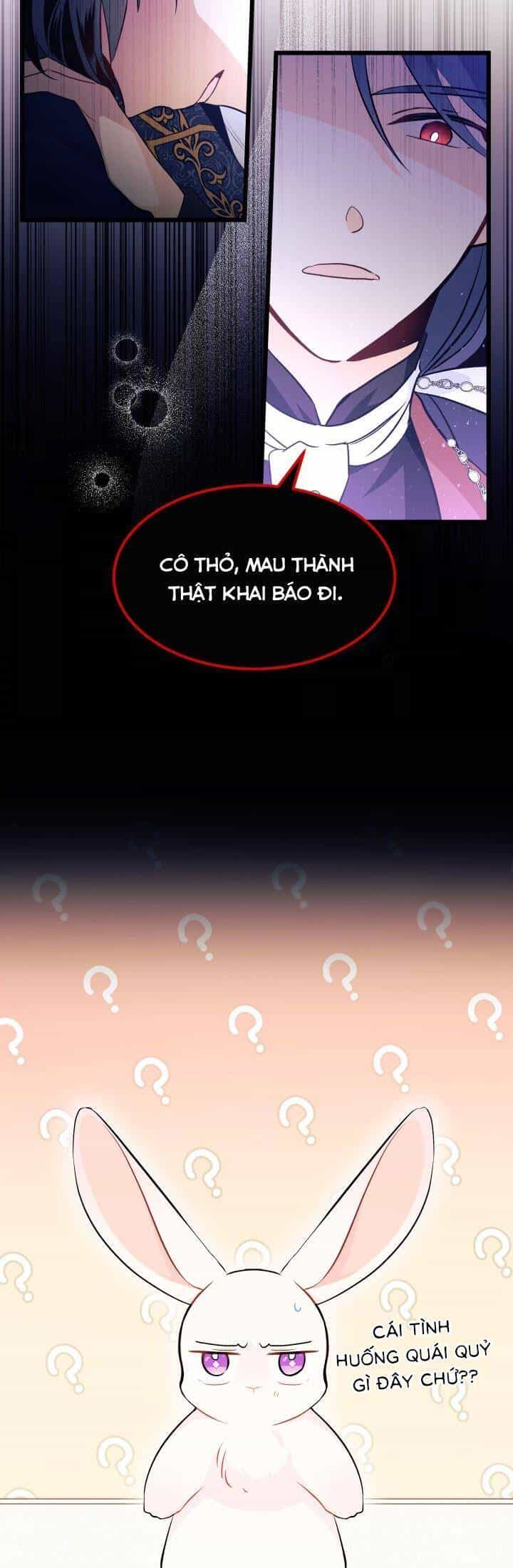 Mối Quan Hệ Cộng Sinh Giữa Báo Đen Và Thỏ Trắng - Chương 22 - ảnh 11