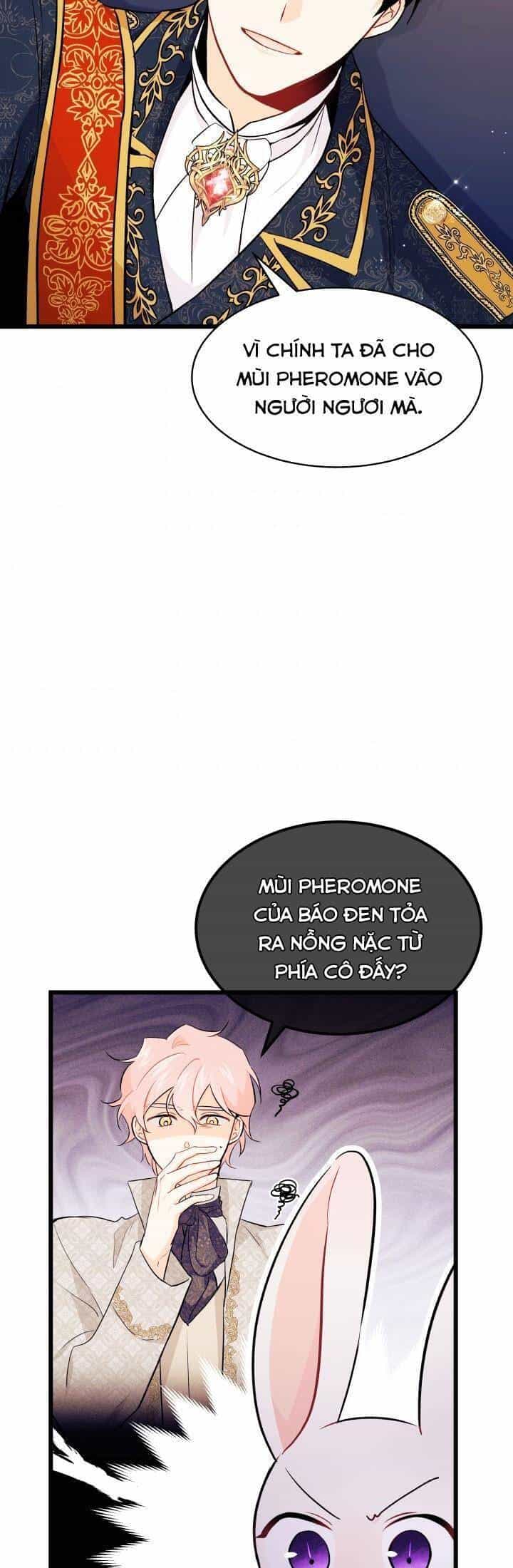 Mối Quan Hệ Cộng Sinh Giữa Báo Đen Và Thỏ Trắng - Chương 22 - ảnh 21