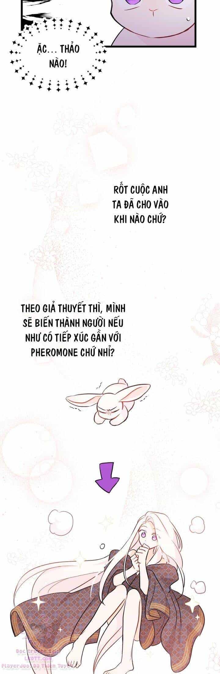 Mối Quan Hệ Cộng Sinh Giữa Báo Đen Và Thỏ Trắng - Chương 22 - ảnh 22