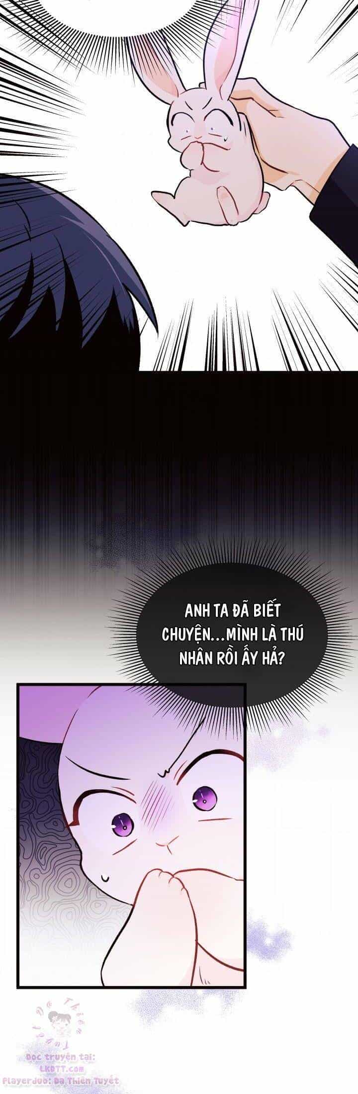 Mối Quan Hệ Cộng Sinh Giữa Báo Đen Và Thỏ Trắng - Chương 22 - ảnh 26