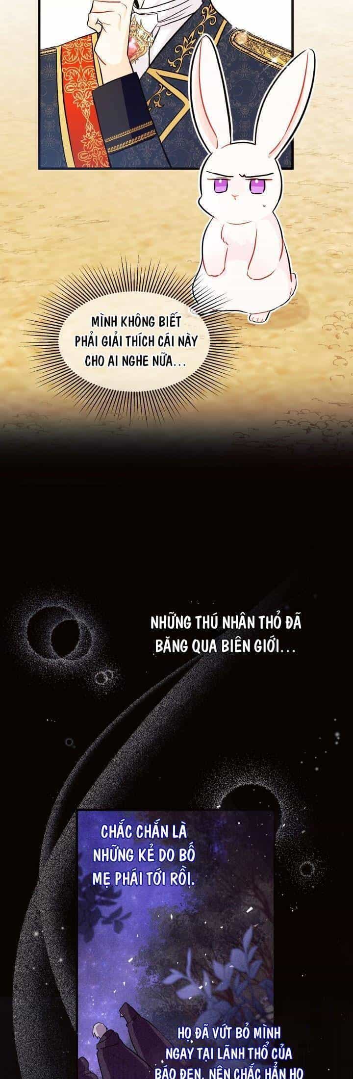 Mối Quan Hệ Cộng Sinh Giữa Báo Đen Và Thỏ Trắng - Chương 22 - ảnh 31