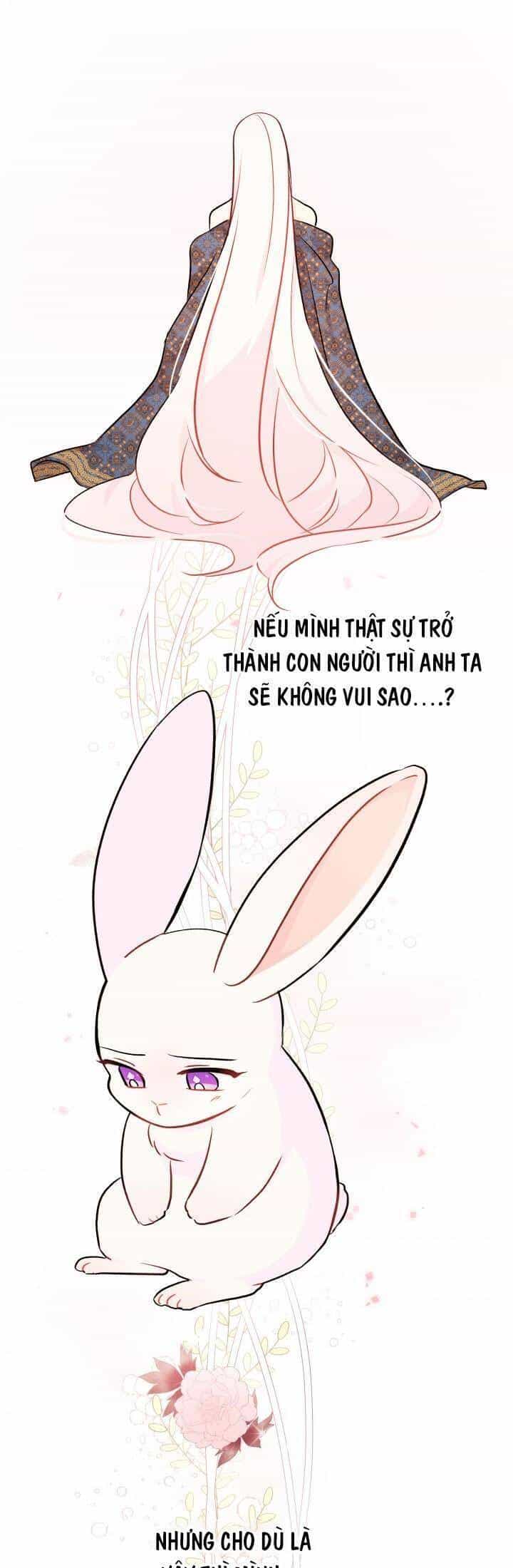 Mối Quan Hệ Cộng Sinh Giữa Báo Đen Và Thỏ Trắng - Chương 22 - ảnh 35